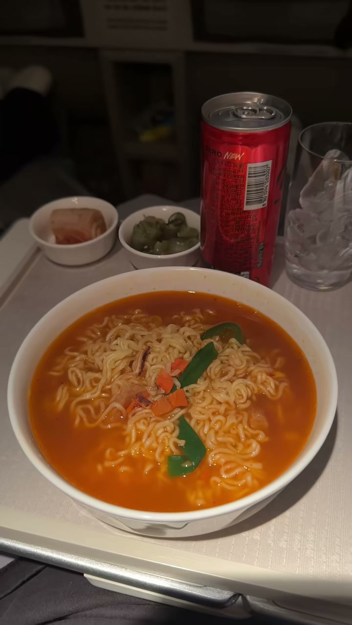 Korean Air Flight Food Experience