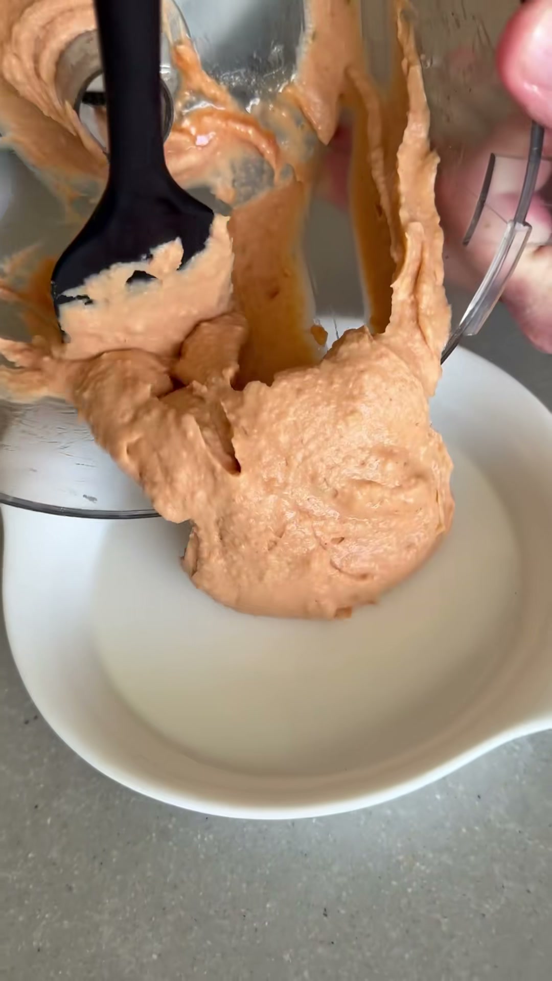 Hot Bean Dip