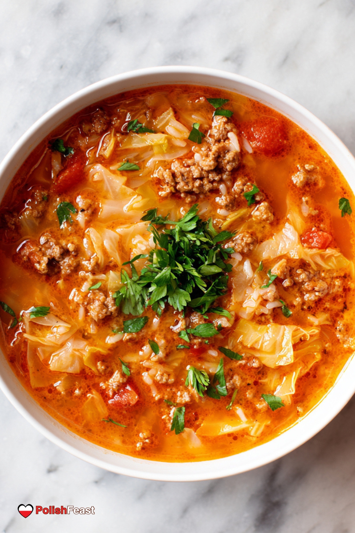 Polish Stuffed Cabbage Soup