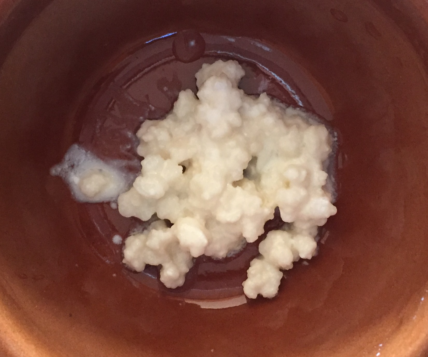 Easy Home-made Kefir