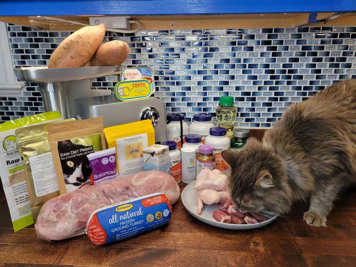 Homemade Cat Food
