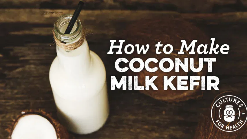 Coconut Milk Kefir: Our Favorite Coconut Kefir Recipe
