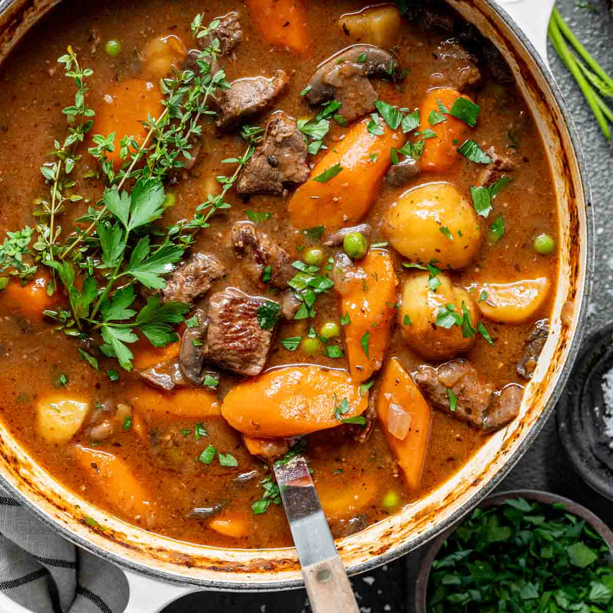 Best Venison Stew Recipe