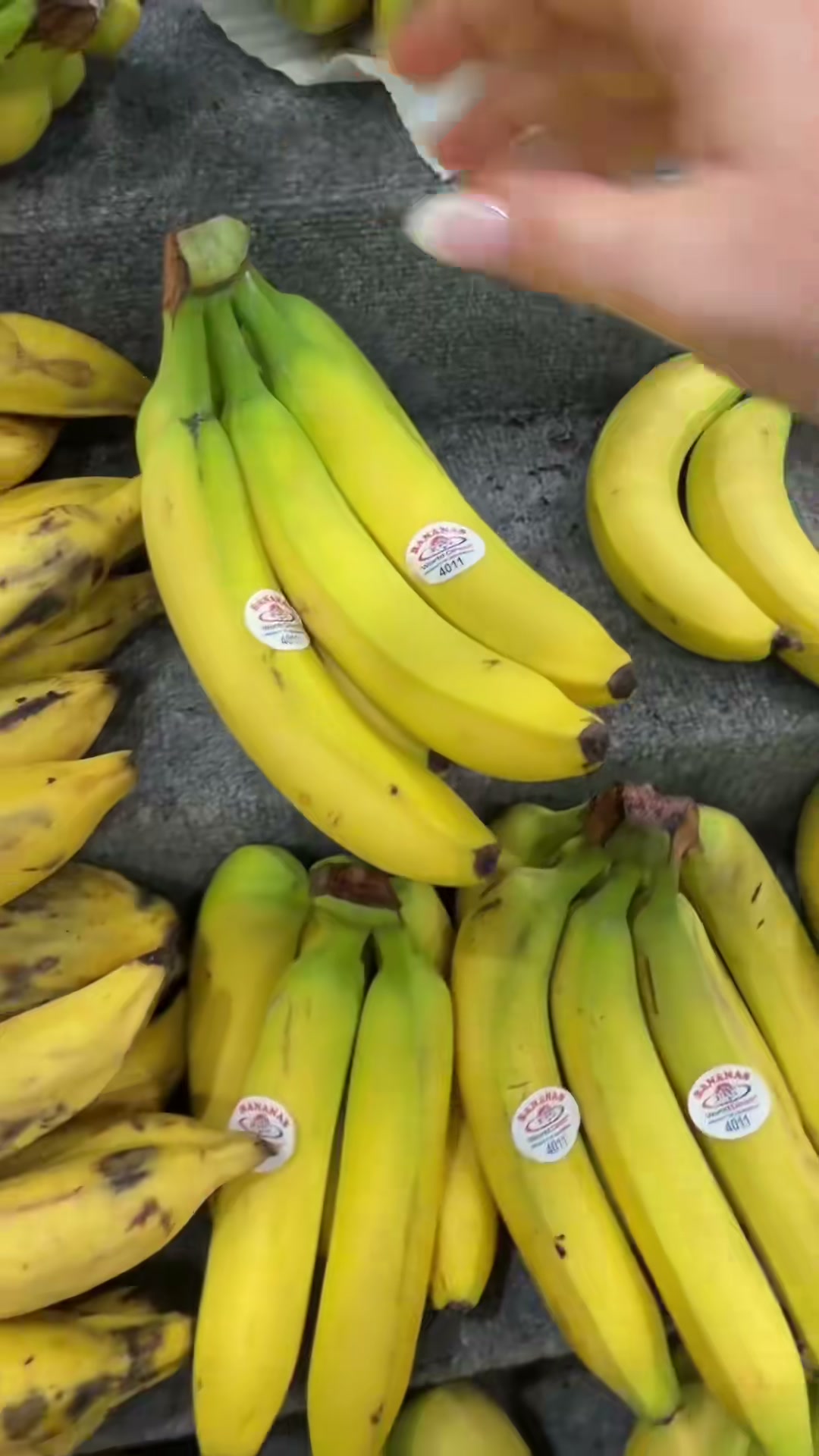 Weekly Grocery Haul