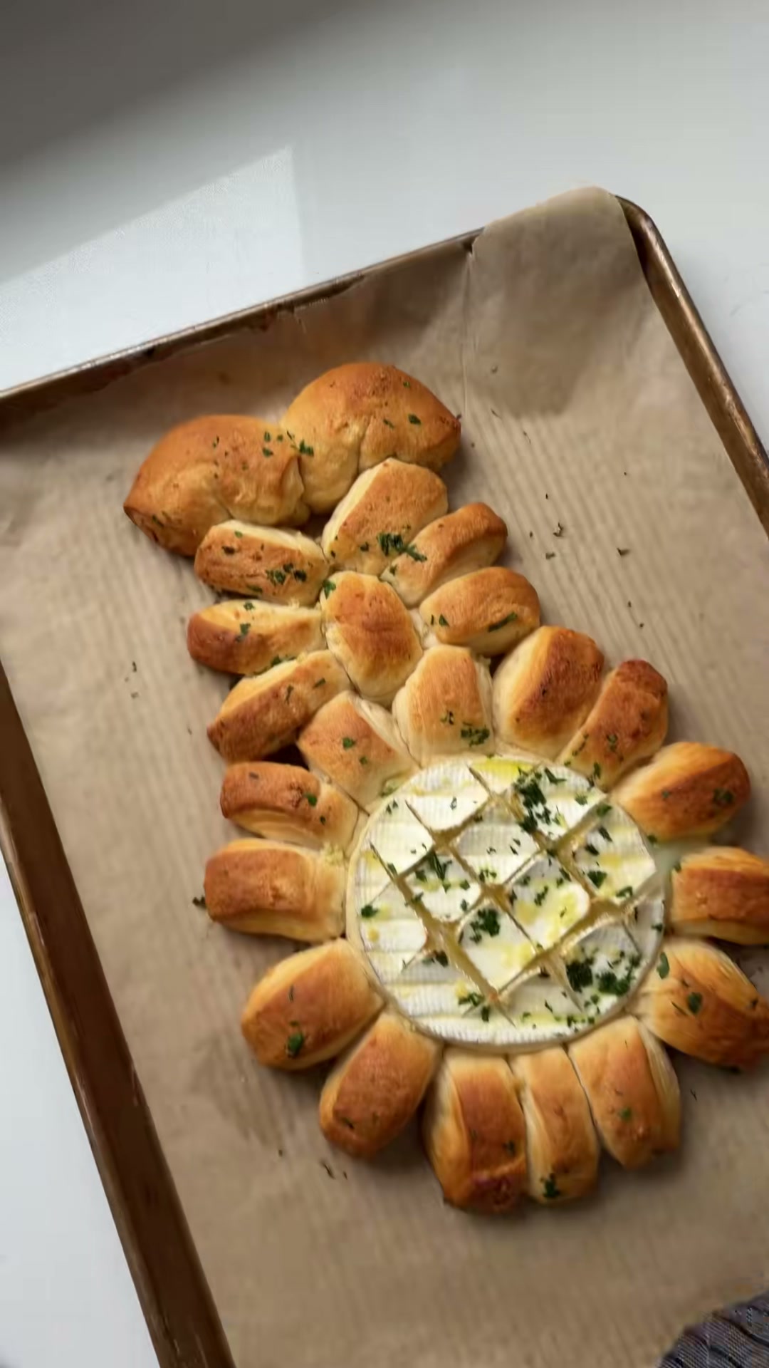 Baked Brie Bunny