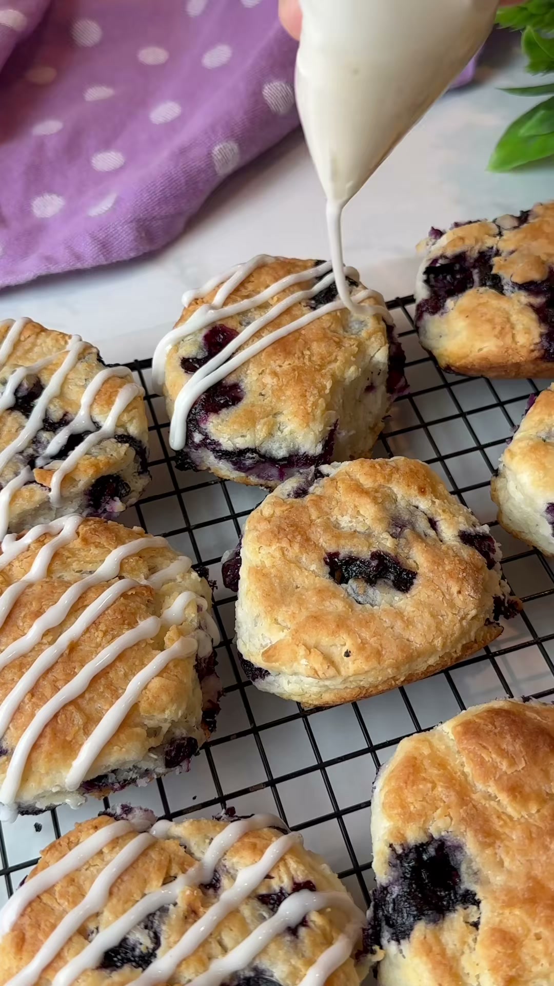 Blueberry Biscuits with Icing