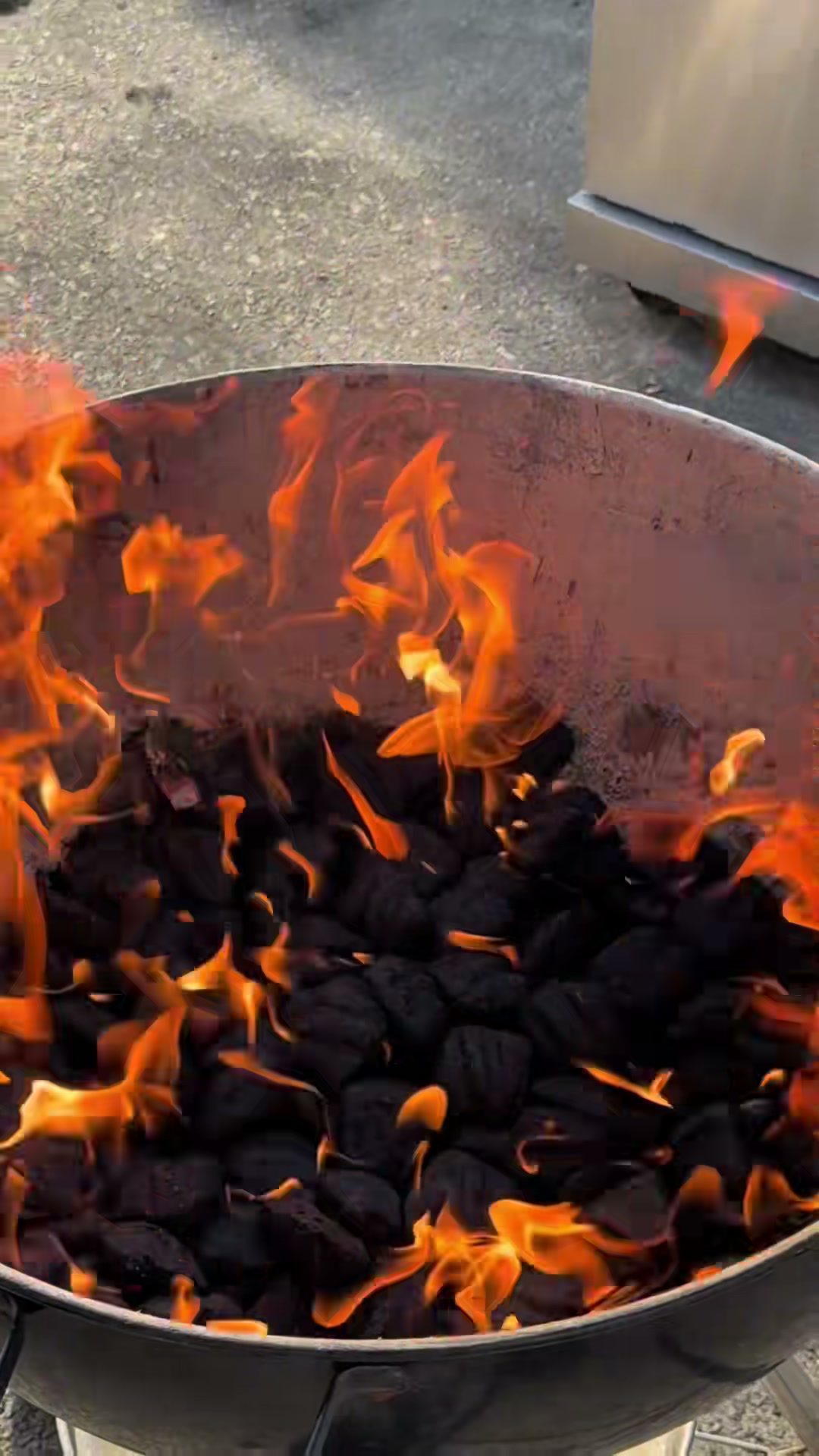 Russian Pork Shashlik with Onion Salad