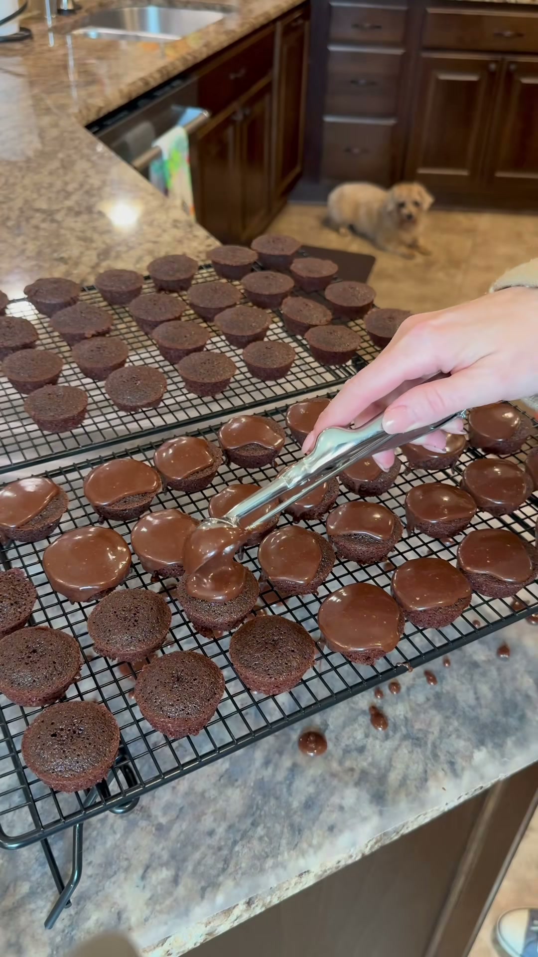Texas Sheet Cake Bites