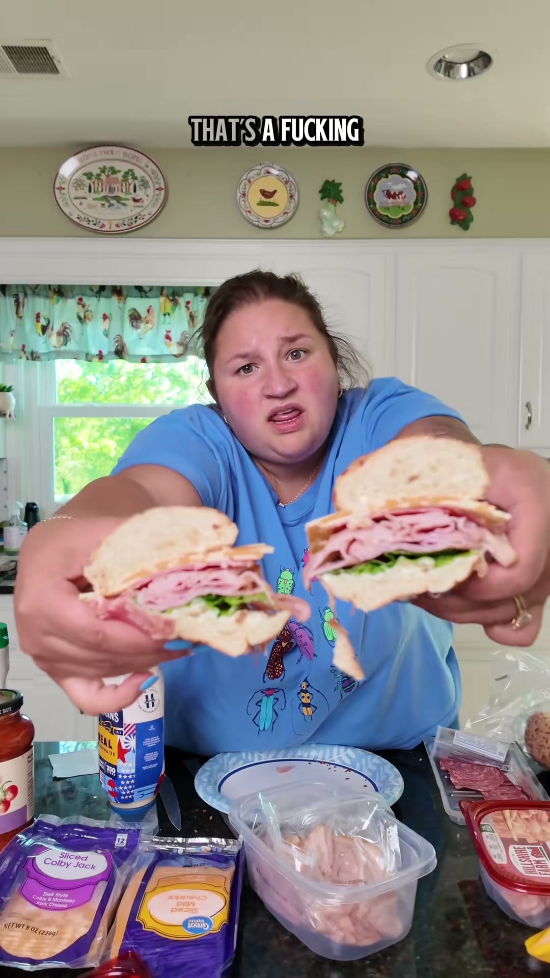 Cold Cut Sub Sandwich