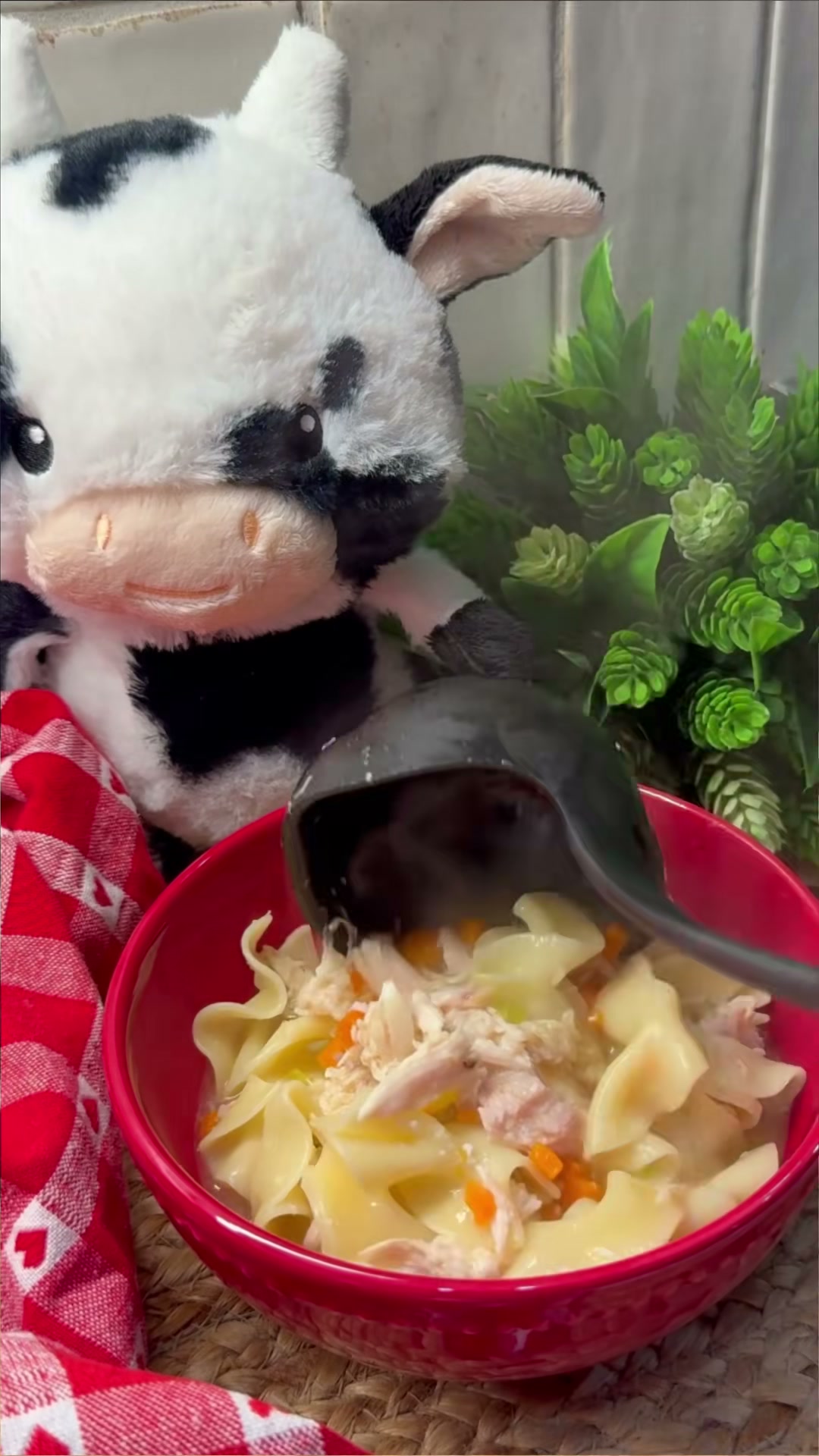 Chicken Noodle Soup